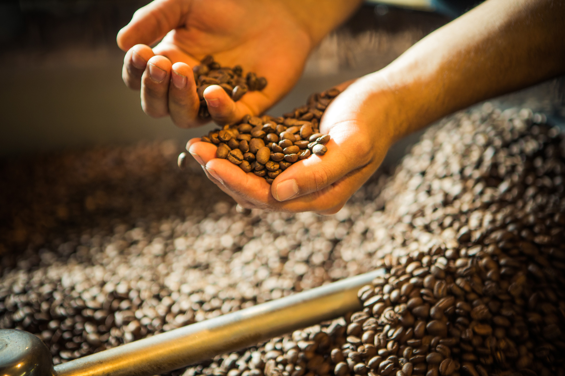 Coffee revive espresso